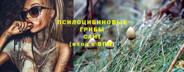 mdma Елизово