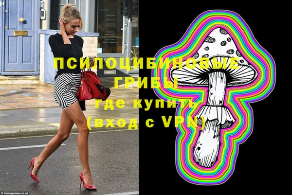 бутират Ельня