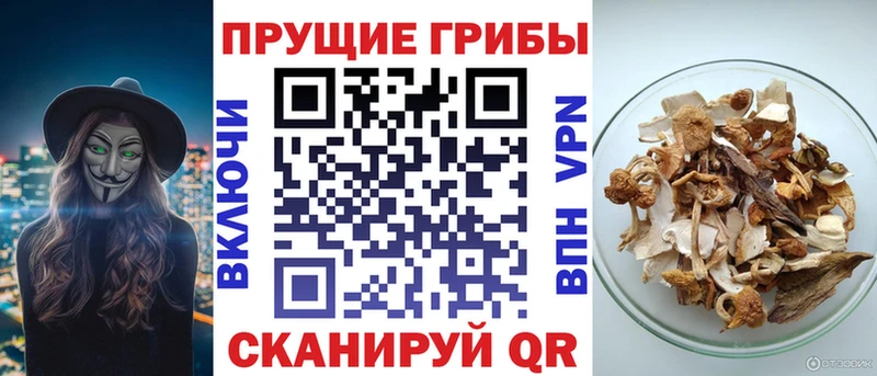 Псилоцибиновые грибы GOLDEN TEACHER  Купить закладки  Нефтекамск 